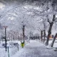 پارک میرزا کوچک خان مشهد در زمستان
