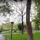 پارک میرزا کوچک خان مشهد در بهار