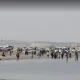 شنا در ساحل کایت قشم