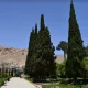 درختان سرسبز سعدیه در شیراز