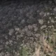 عکس هوایی جنگل ابر و جاده روستای ابر