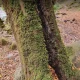 طبیعت گردی در تفرجگاه دوآب سیاهکلرود