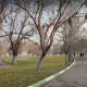 پارک ائللر باغی ارومیه در زمستان