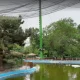 سقف توری باغ پرندگان اصفهان