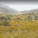کوهمره سرخی شیراز در پاییز