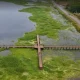 عکس هوایی از اسکله چوبی آبکنار