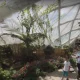 راهنمای بازدید از باغ پروانه‌های گرمسیری قونیه