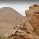 صخره فسیل مرکز باستان شناسی ملیحه شارجه