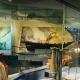 اثار تاریخی موزه دریانوردی شارجه