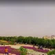 باغ گل‌های شیراز در بهار
