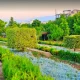 طبیعت باغ گل‌های شیراز