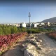 مسیر پیاده روی باغ گل‌های شیراز