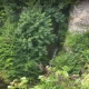 لوکیشن آبشار آب شرشر در سینوا