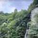 آبشار آب شرشر در بهار