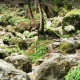 آبشار چلندر