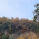 جنگل خیرودکنار در پاییز