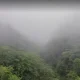 هوای مه آلود پارک جنگلی رویان