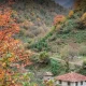 روستای سموش در پاییز