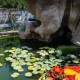 مرداب و آبشار صخره‌ای الماس گلستان