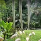 باغ پرندگان بالی