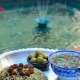 غذاهای شیرازی در اقامتگاه بوم‌گردی ماه سلطان
