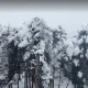 پارک پامچال در زمستان