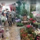 بازار گل و گیاهان ستاری تهران