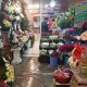 گل‌های زینتی و تزئینی در بازار گل و گیاه غرب تهران