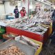 بازار ماهی بعثت تهران