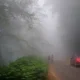 جاده مه گرفته آبشار رامینه ماسال
