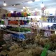 لوکیشن بازار صالح آباد