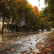 خیابان ولیعصر تهران در پاییز