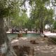 Mahalat Sarcheshme Park(پارک سرچشمه محلات )