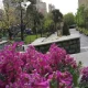 پارک آرارات در فصل بهار