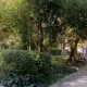 پارک بهجت آباد در بهار