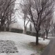 بارش برف در پارک بهجت آباد