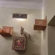 اولین موزه گربه در ایران