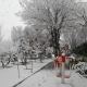 بارش برف در پارک شقایق نارمک