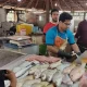 مکعب ماهی خلیج فارس در بازار ماهی فروشان بندر کنگ