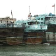 کشتی های ماهیگیری بندر کنگ