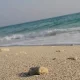 ساحل شنی جزیره لاوان