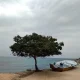 ساحل شرقی جزیره لاوان