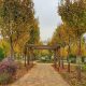 mibod Baharan Park پارک بهاران شهر میبد در استان یزد