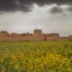 Saryazd Castle قلعه سریزد شهر مهریز در استان یزد