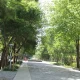 پارک ریحانه مشهد