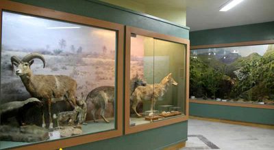 موزه تنوع زیستی آبادان
