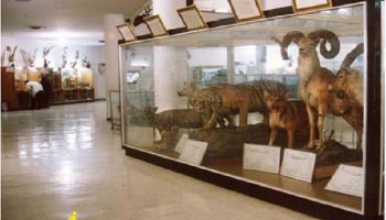 Kurdistan-Natural-History-Museum