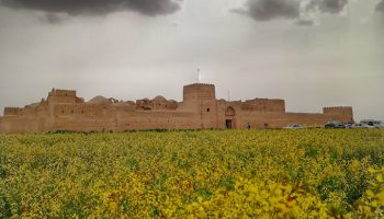 Saryazd Castle قلعه سریزد شهر مهریز در استان یزد
