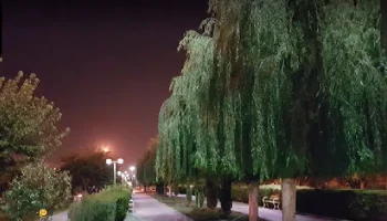 پارک پامچال خلیج فارس تهران