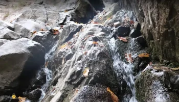 آبشار افجه